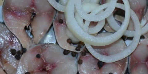 Makrela ve slaném nálevu doma: 6 chutných receptů